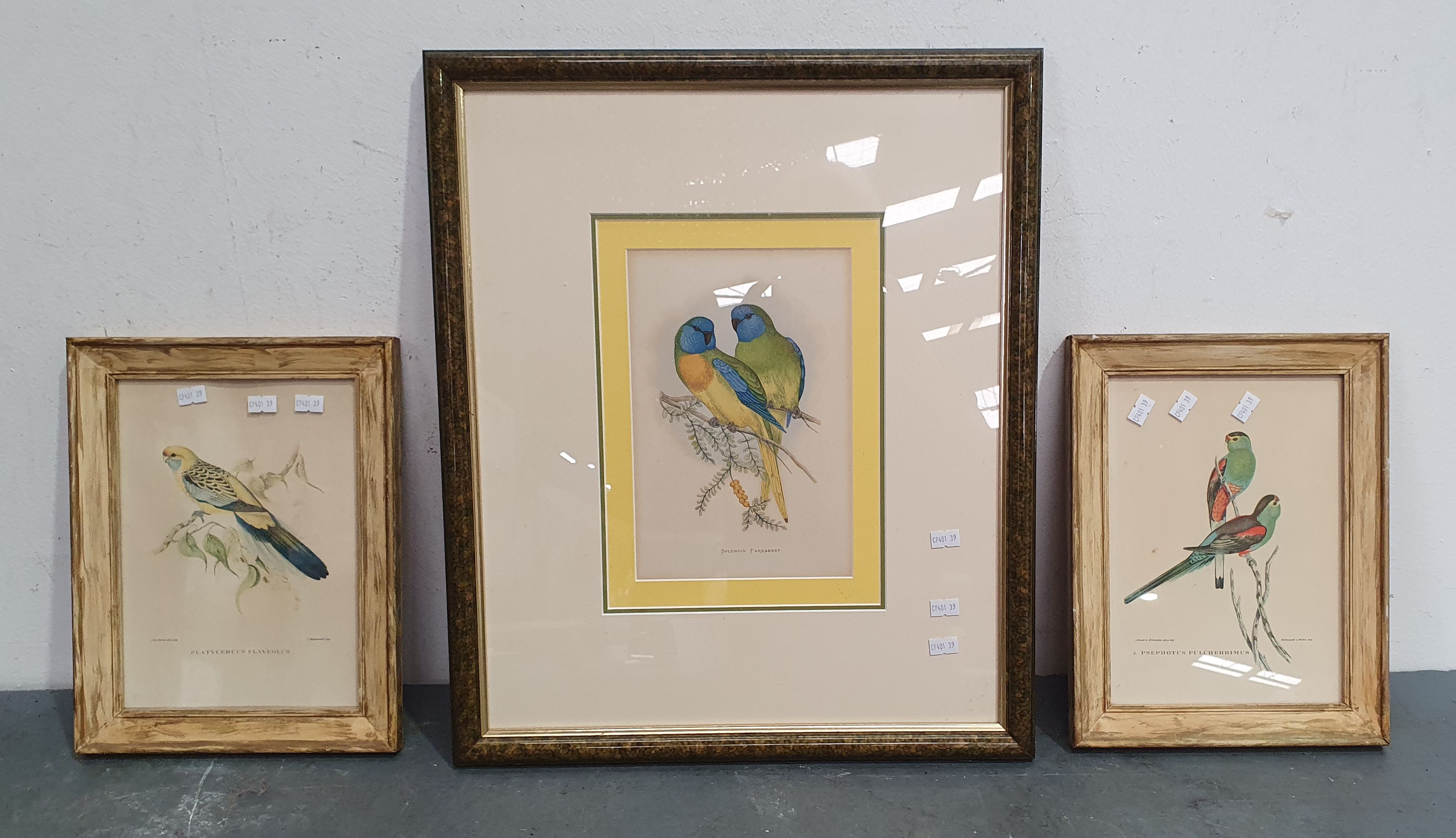 2328 · THREE VARIOUS BIRDS ARTWORKS