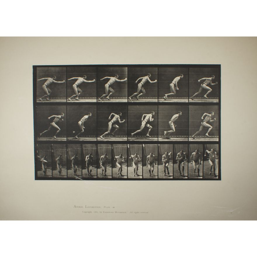 Print, Eadweard Muybridge