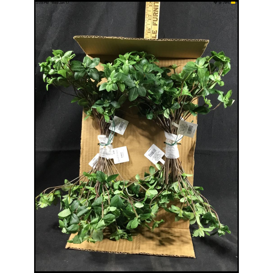 (4) Hearth & Hand w/ Magnolia Greenery Bundle