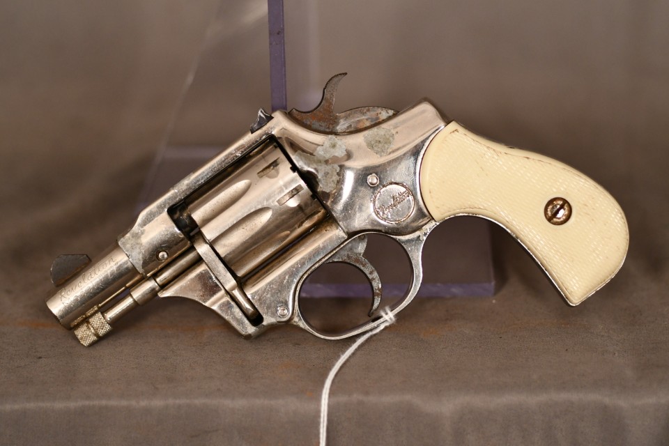 Revelation Model 