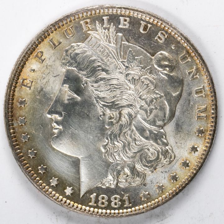 1881 Morgan Silver Dollar