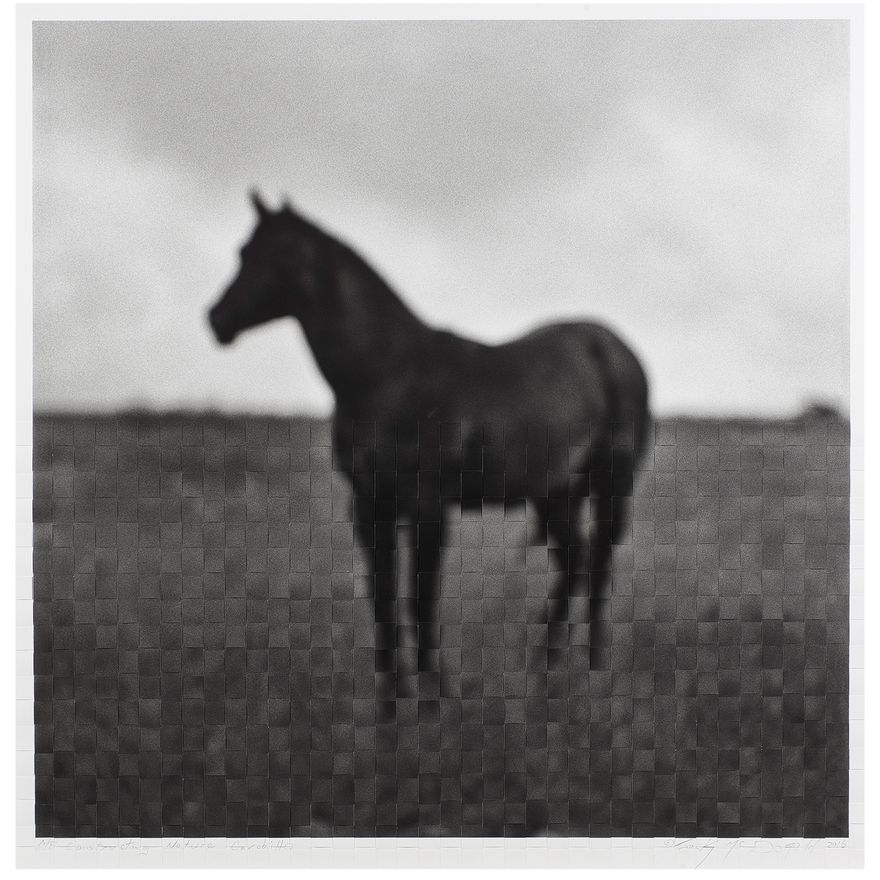 Woven Photograph, Jock Mcdonald