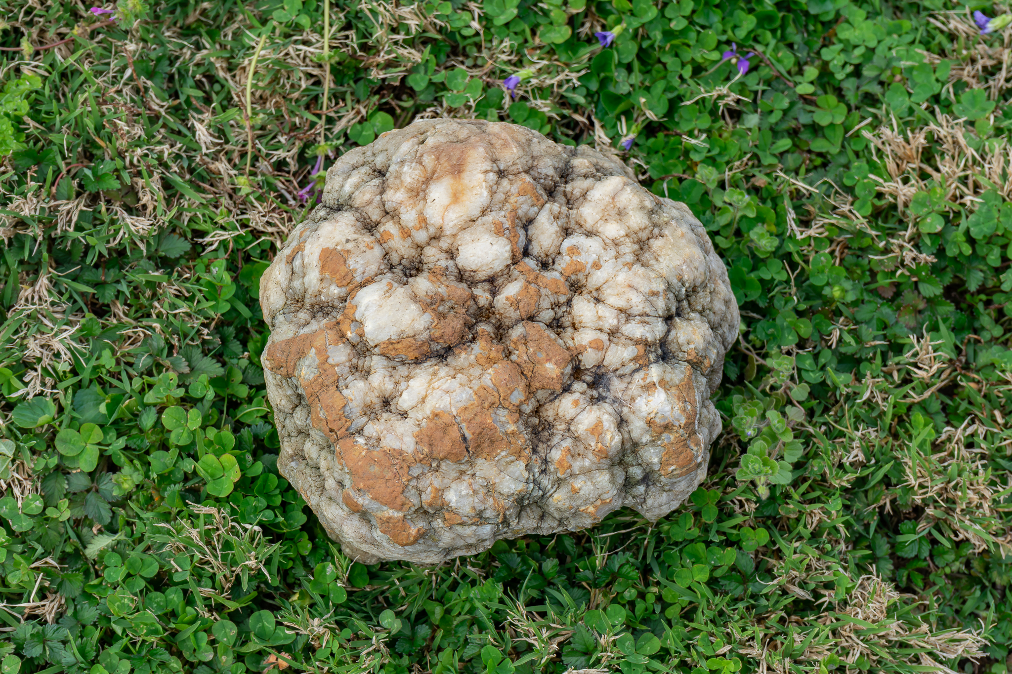 Large Geode Rock | Harritt Group, Inc