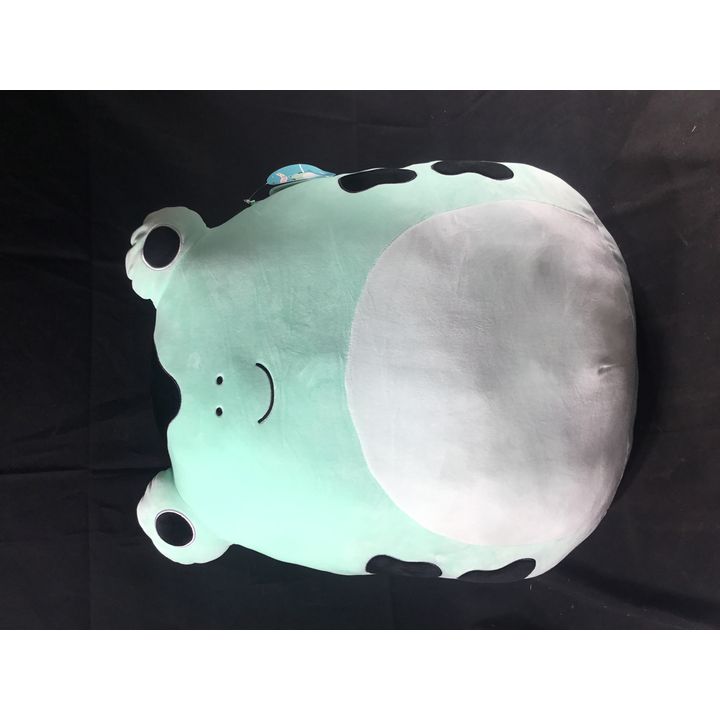 Green Frog "Dear" Squishmallow