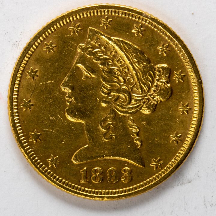 1893 $5 Gold 1/2 Eagle Liberty Head