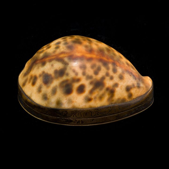 A Swedish silver coin mounted shell box, circa 1853