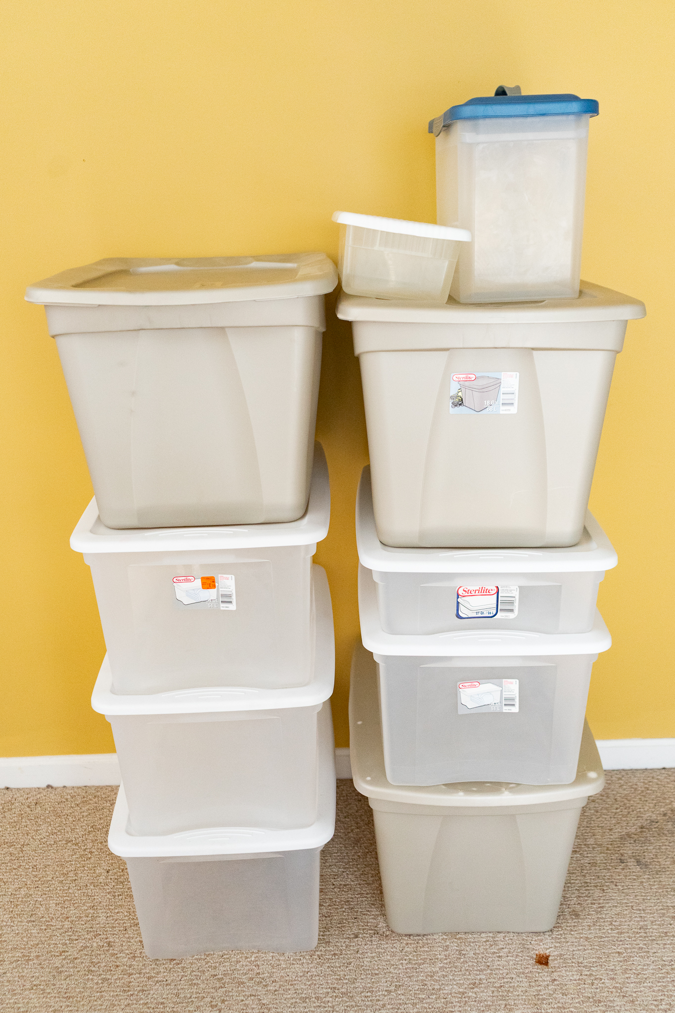 Collection of Plastic Organizing Totes | Harritt Group, Inc