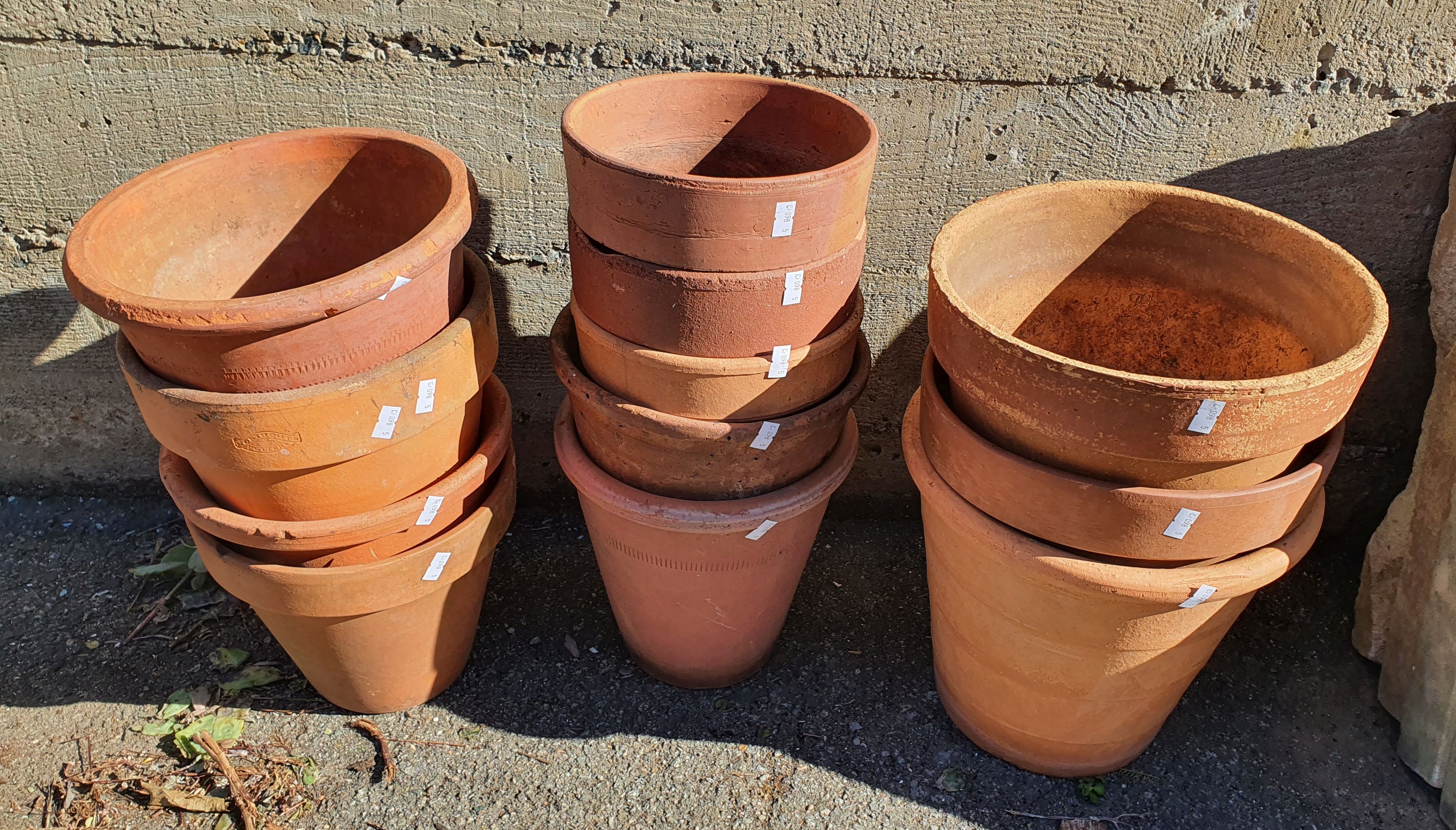 A Large Group Of Various Terracotta Flower Pots