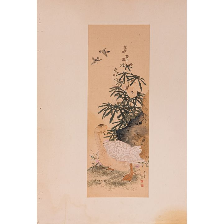 (lot of 5) Japanese school ink paintings