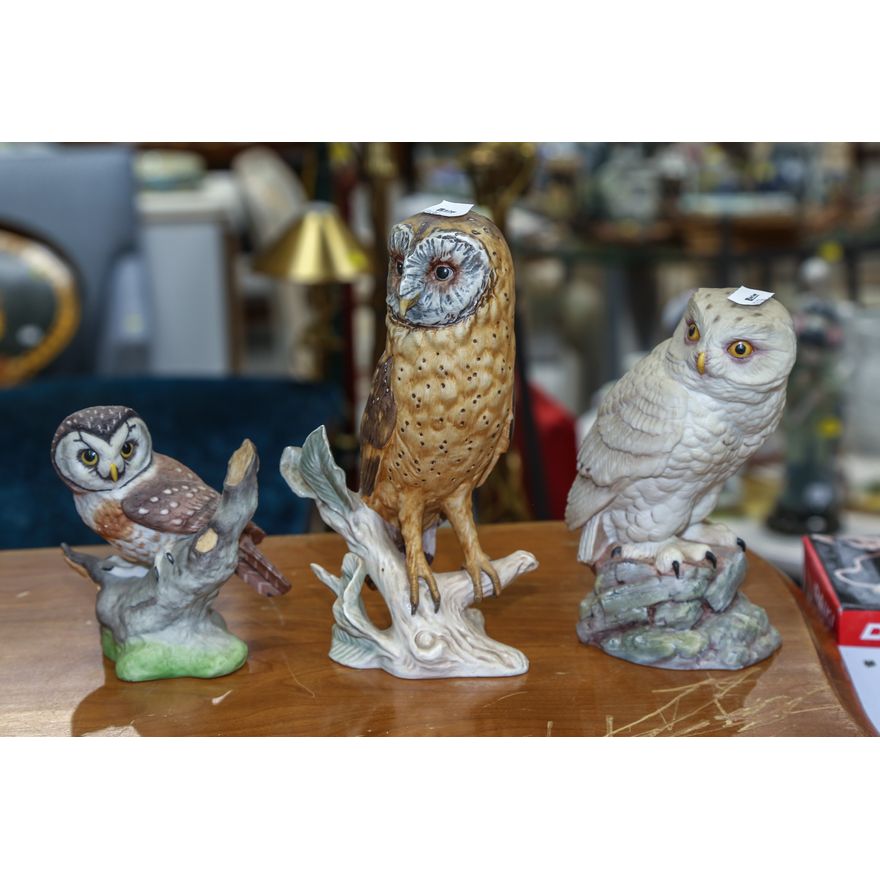 Three Painted Bisque Owls