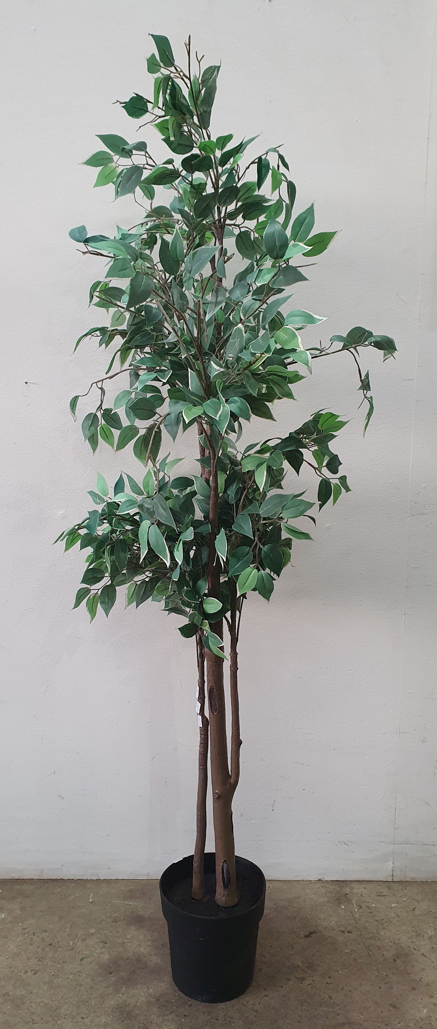 A Faux Plant