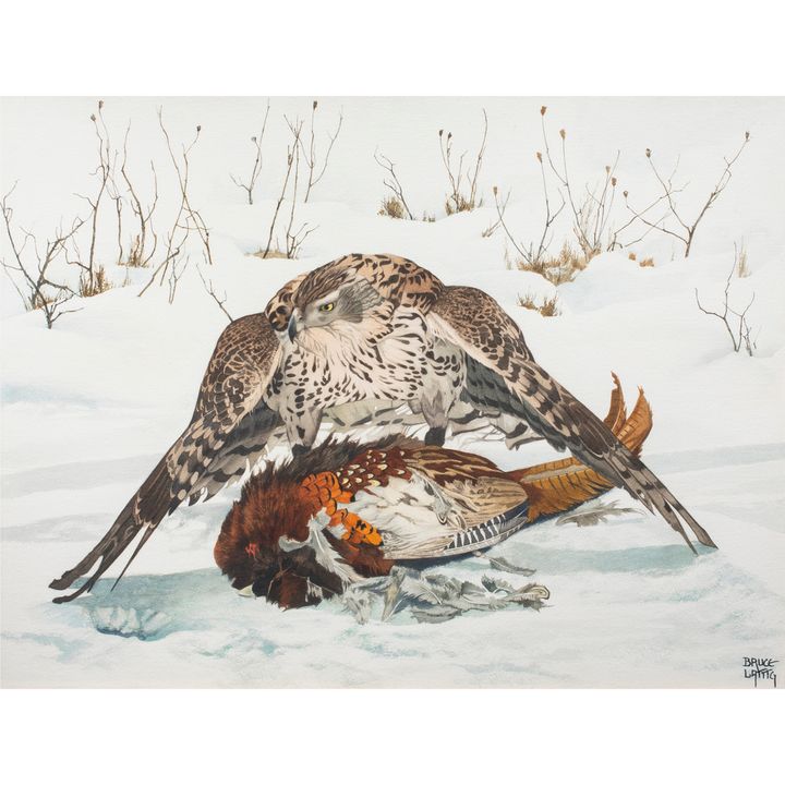 Watercolor, Bruce Lattig