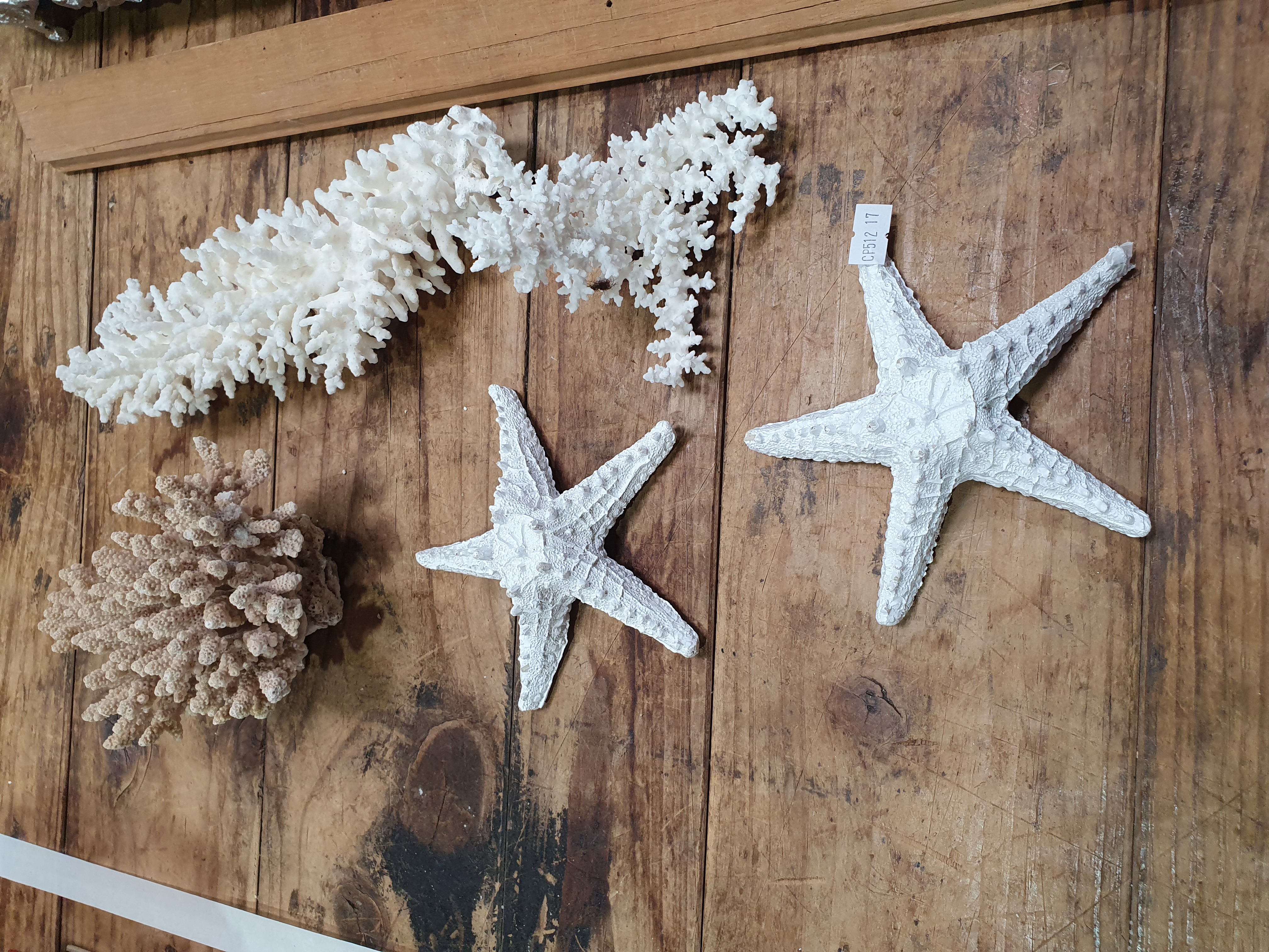 467 · THREE PIECES OF CORAL