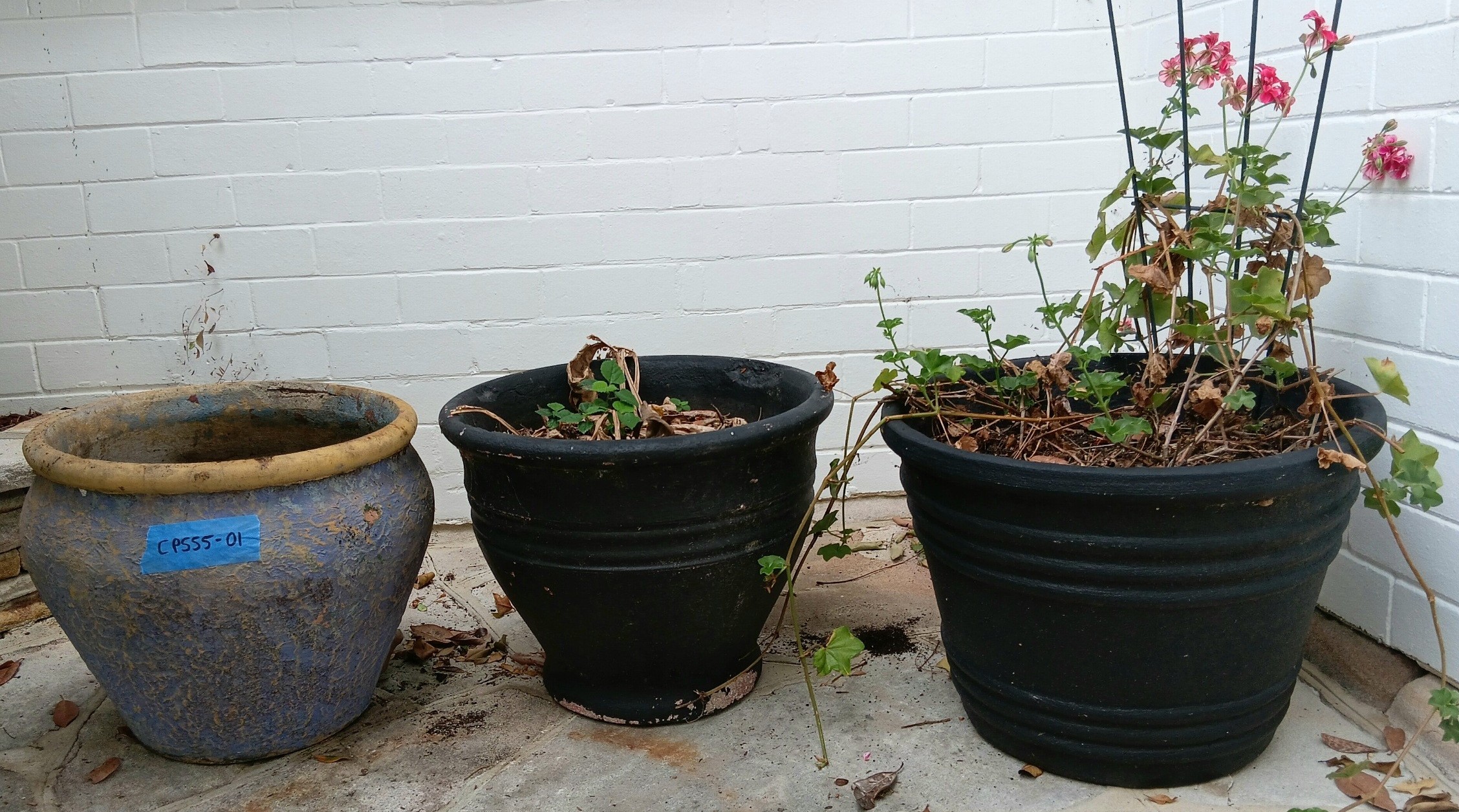 Three Ceramic/Concrete Plant Pots
