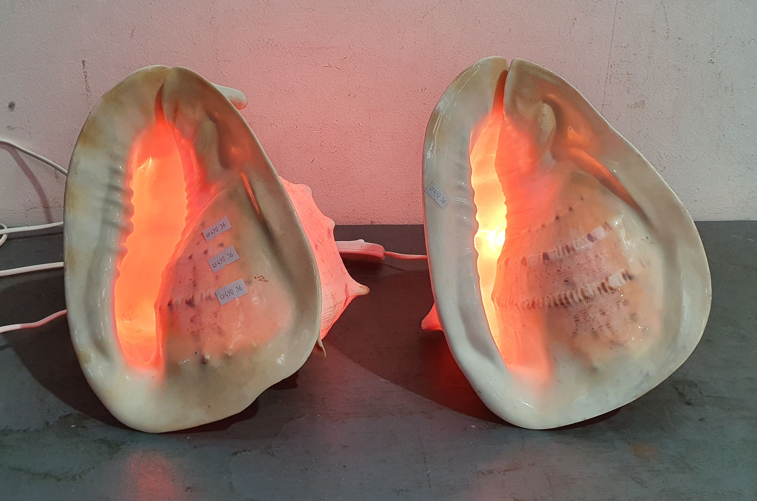 A Pair Of Working Shell Lamps