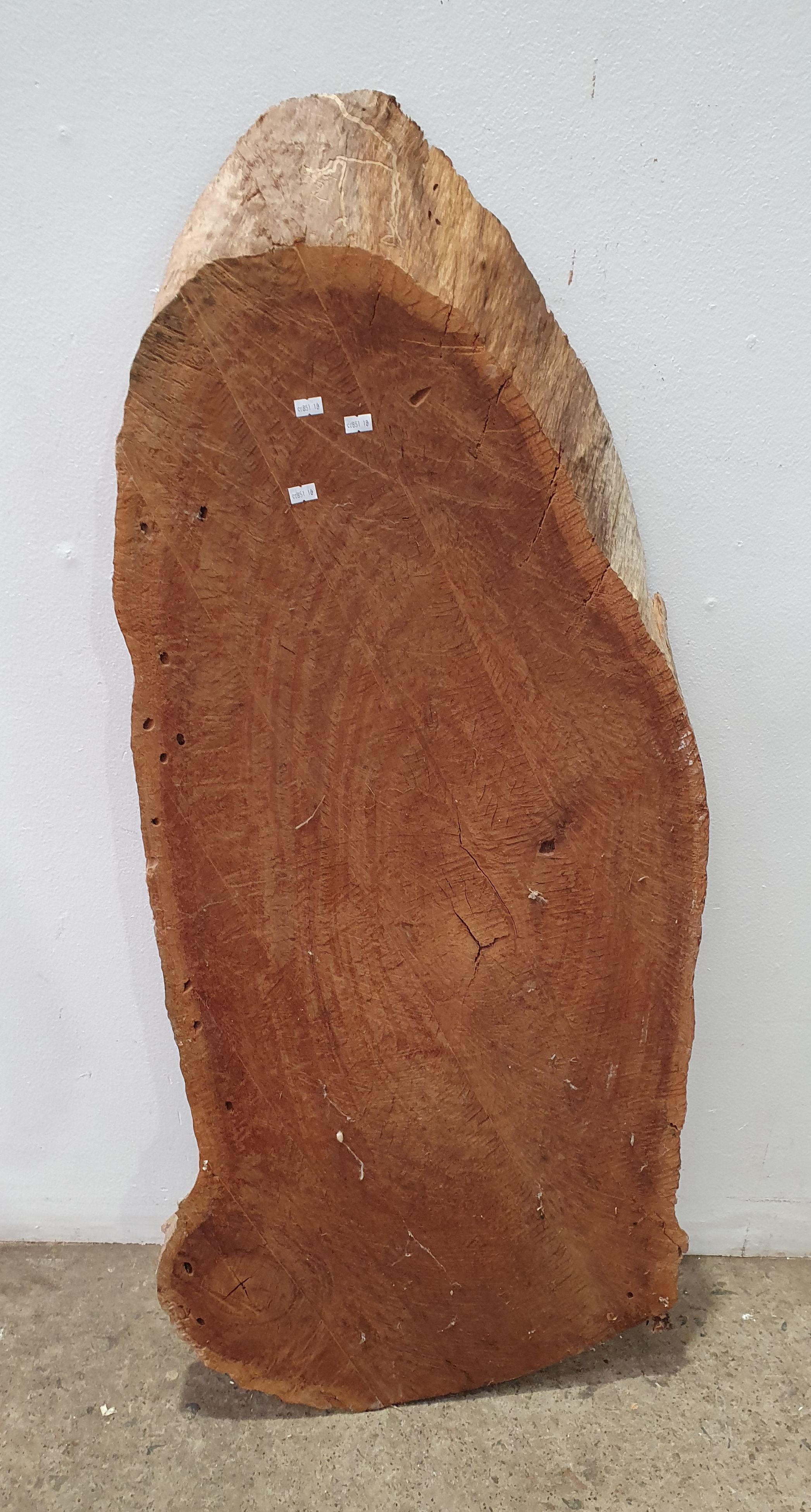 A SLAB OF TIMBER