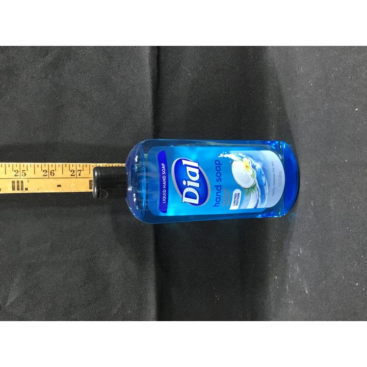 Dial Coconut Splash 17oz
