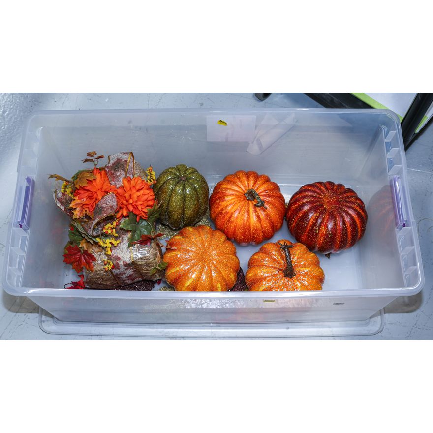 Plastic Tote of Autumn Decorations