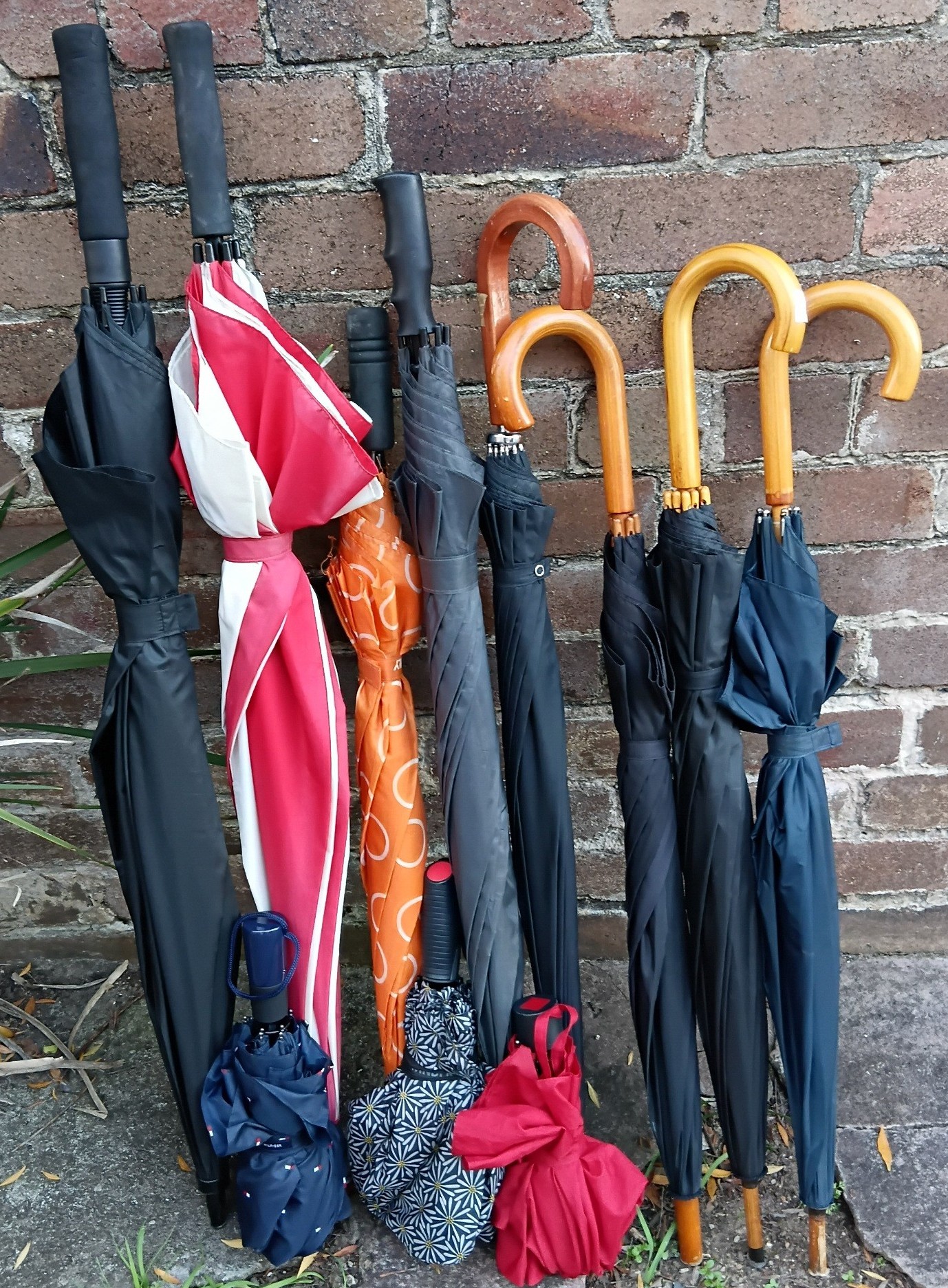 Eleven Assorted Umbrellas