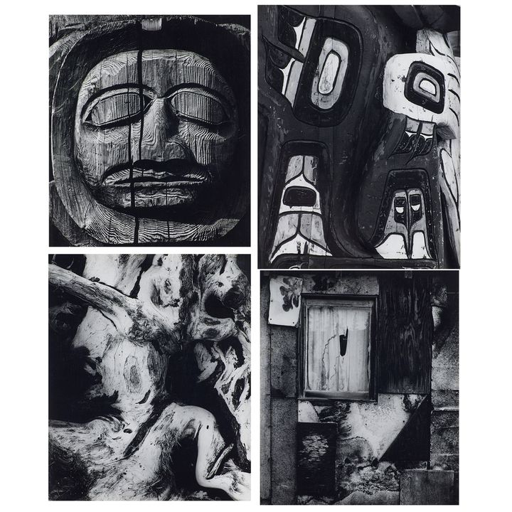 Portfolio, Brett Weston