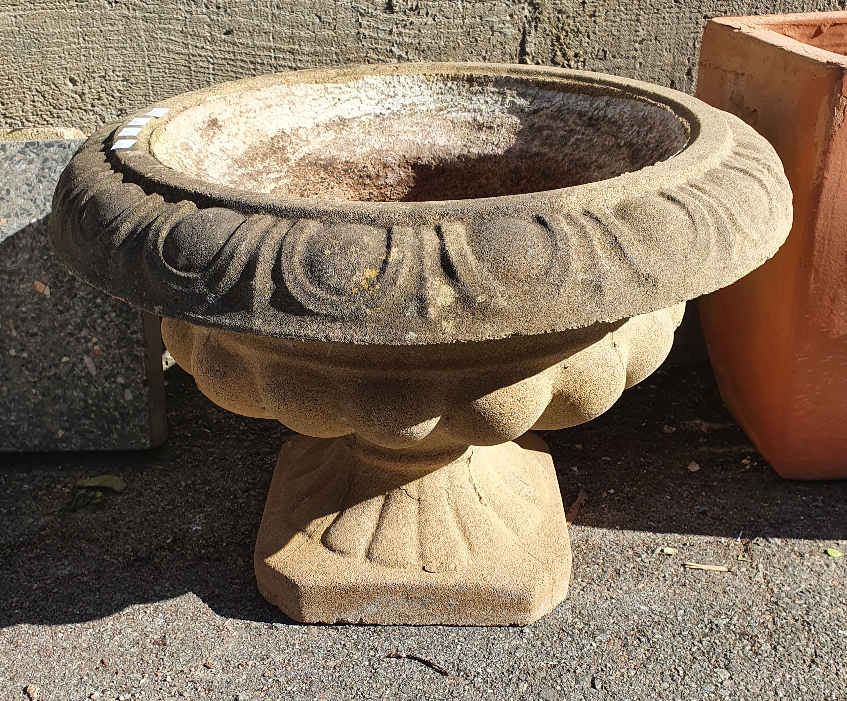 A Decorative Concrete Flower Pot
