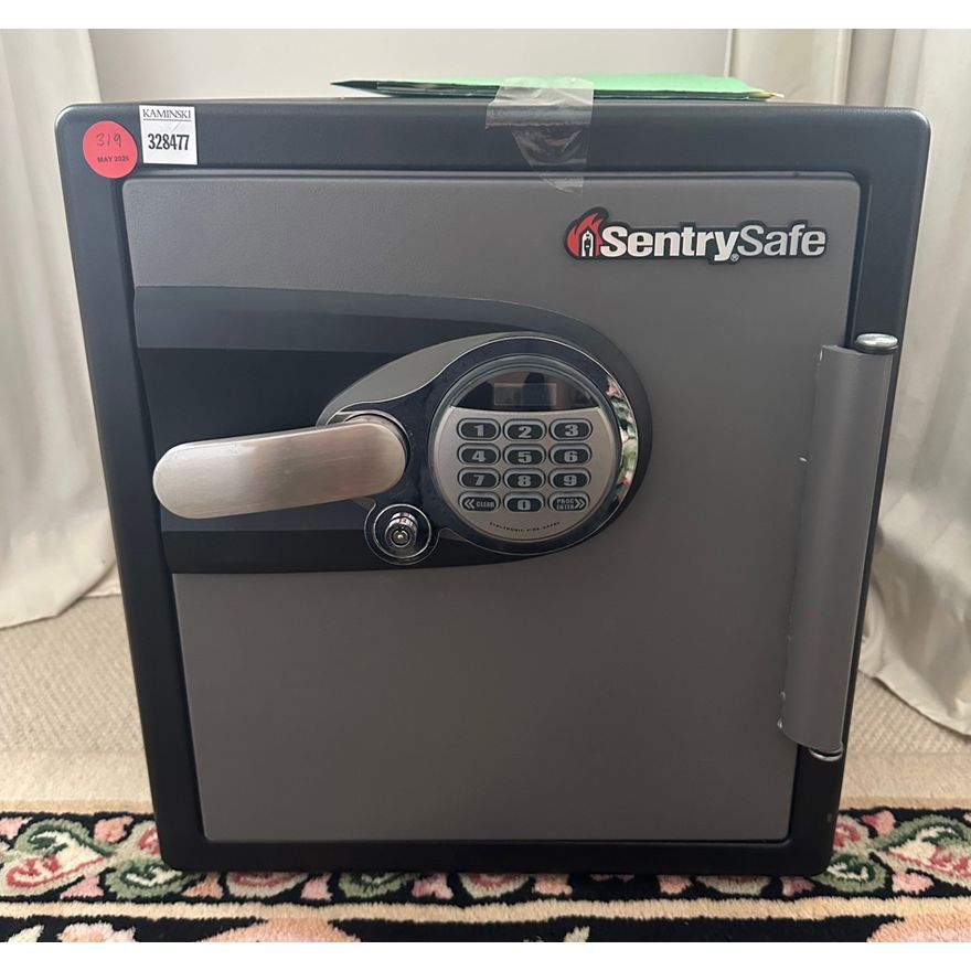 Sentry Safe, Small Safe with Instructions | Kaminski Auctions