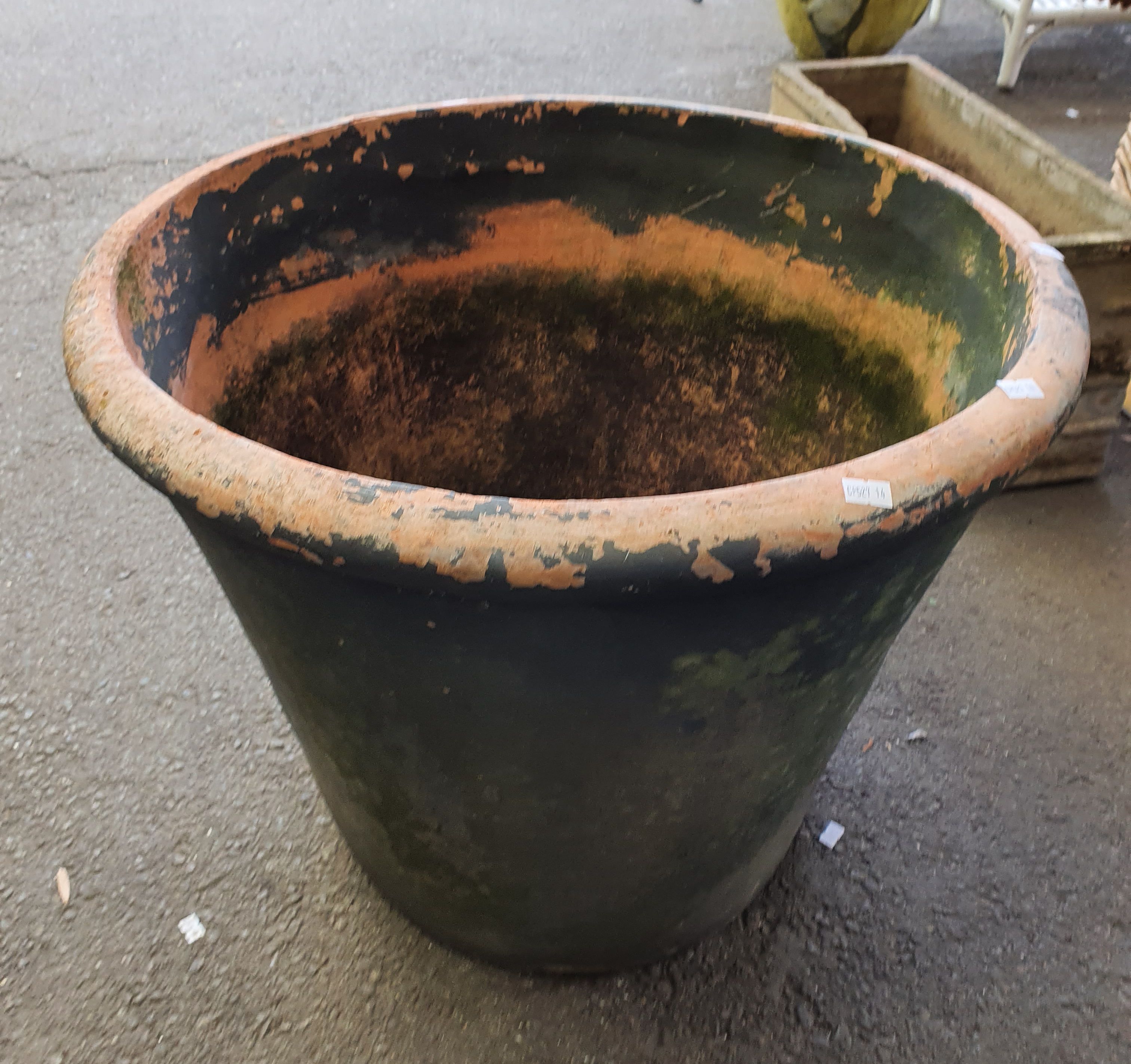 A Rustic Terracotta Pot