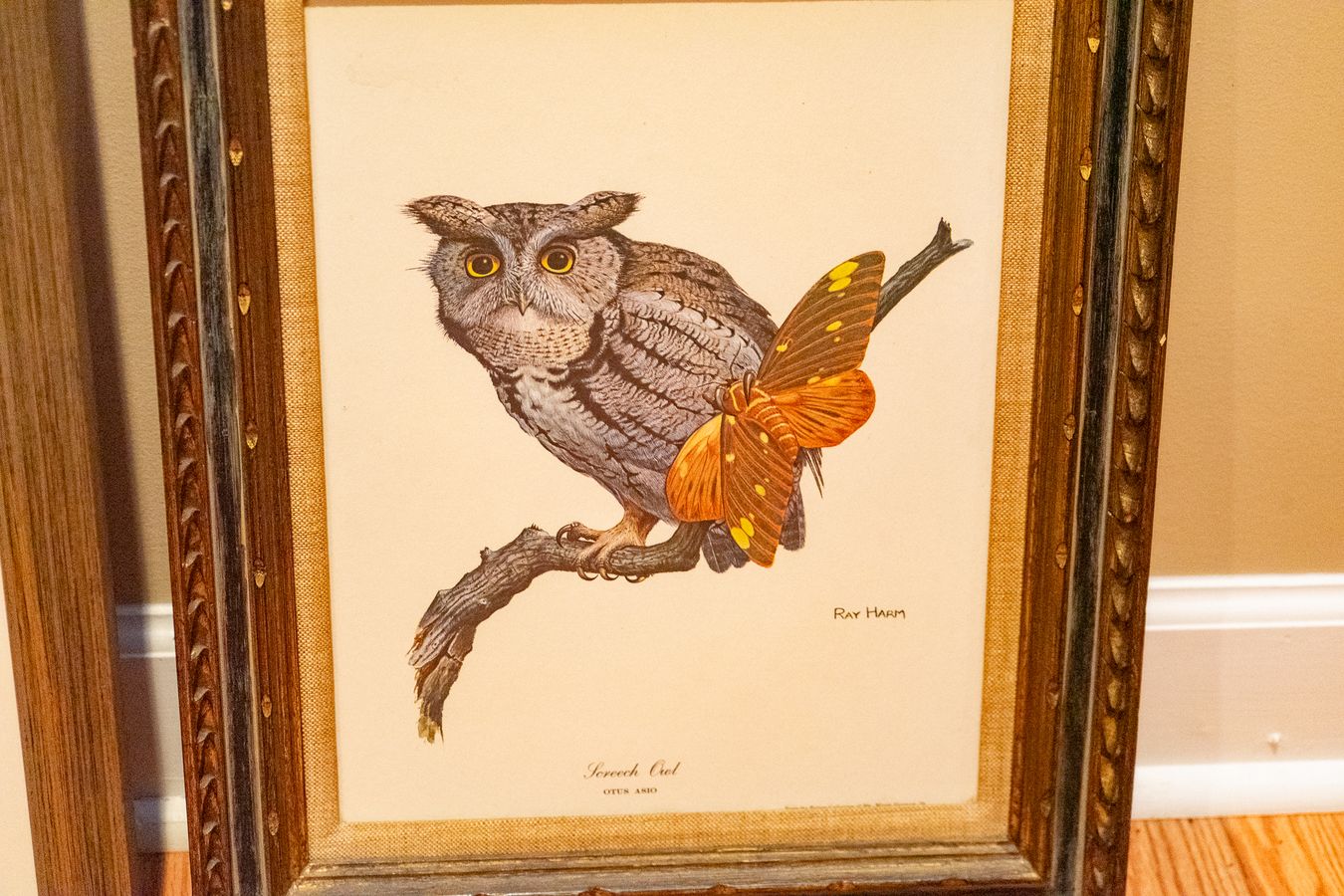 Two Framed Ray Harm Prints | Harritt Group, Inc