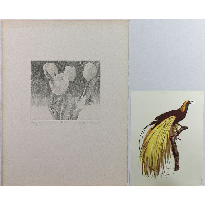 Assorted Botanical and Aviary prints