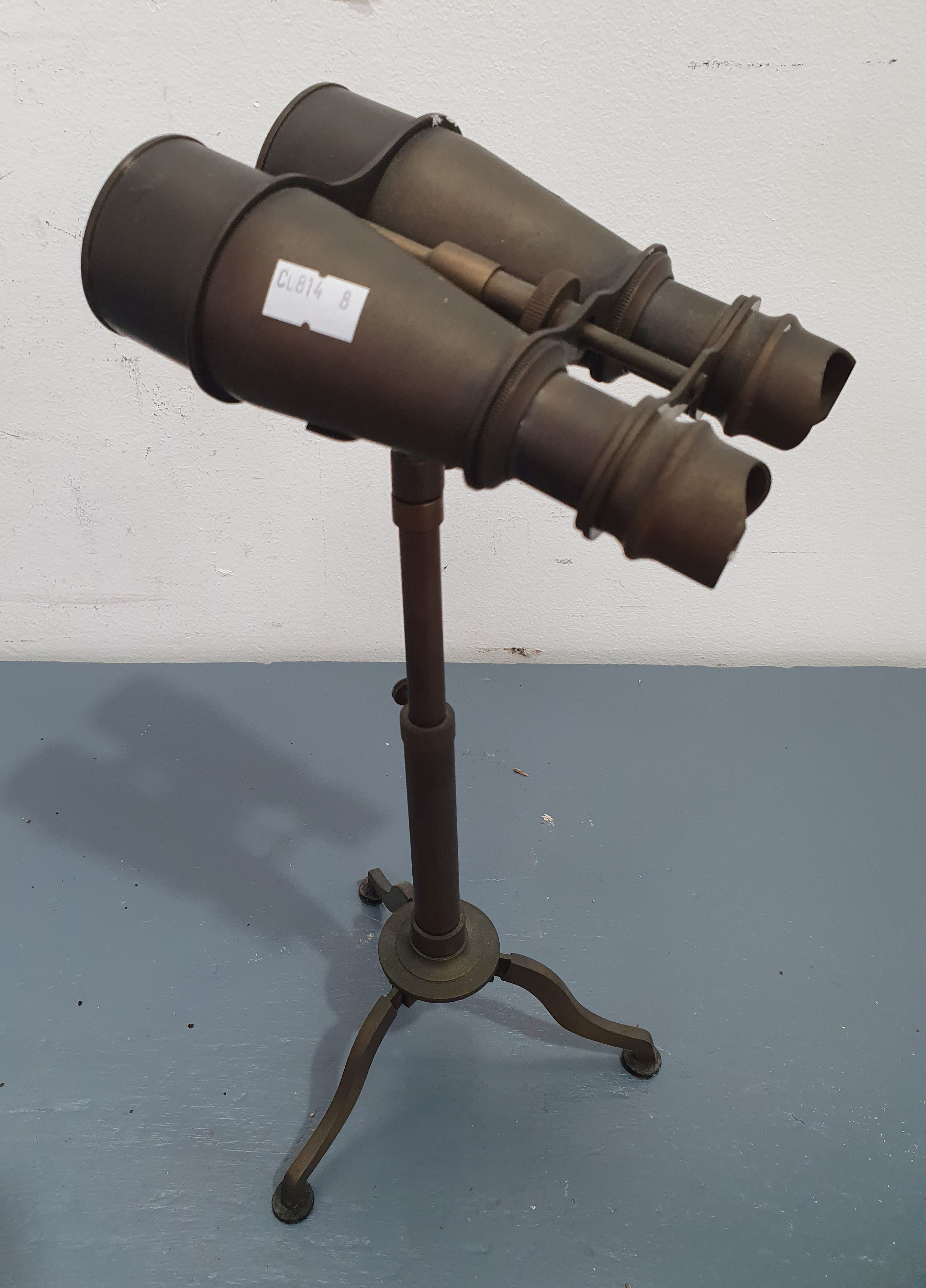 A Pair Of Brass Binoculars