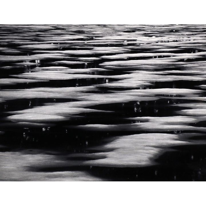 Photograph, Brett Weston