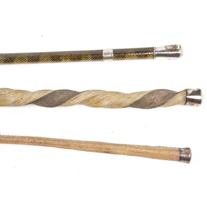 Three silver mounted walking canes with animal skin shafts