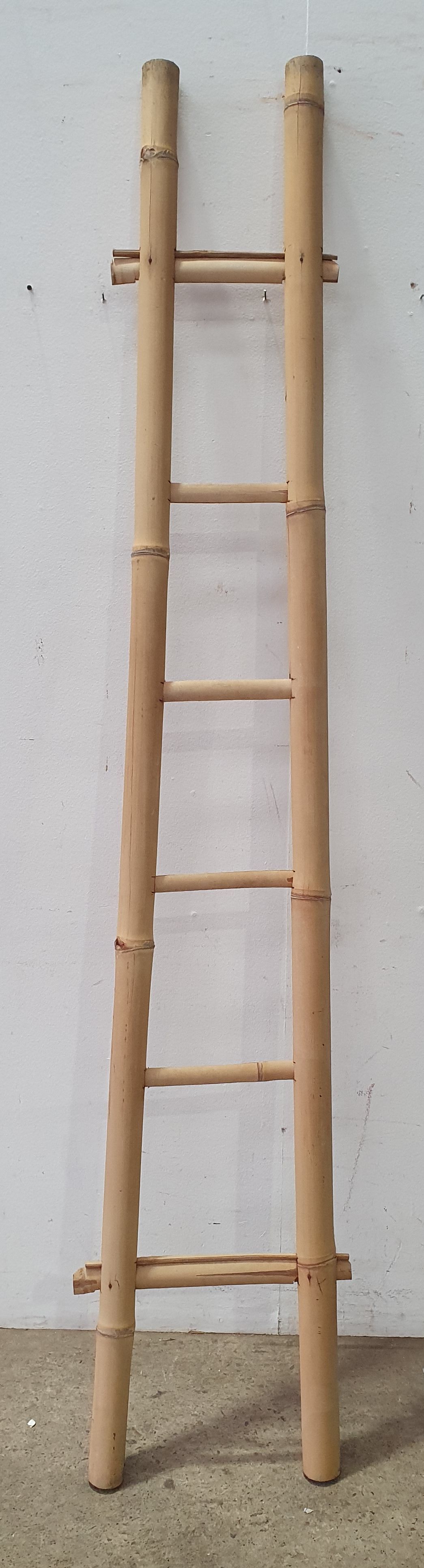 1121 · A BAMBOO LADDER