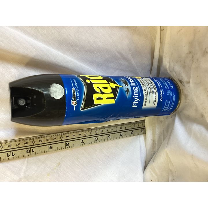 Raid Flying Insect Spray- 15oz