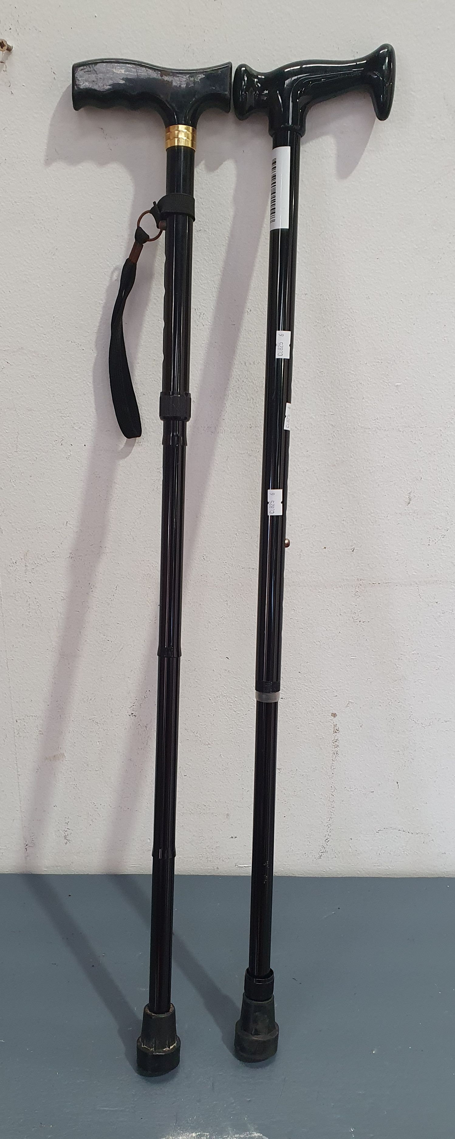 Two Various Waling Sticks