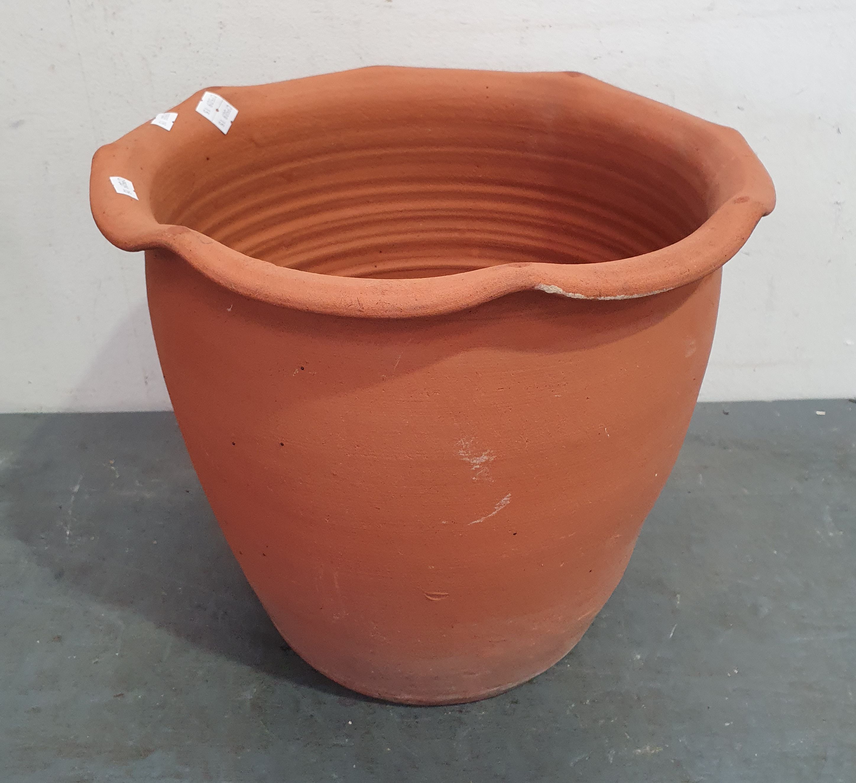 A Terracotta Pot