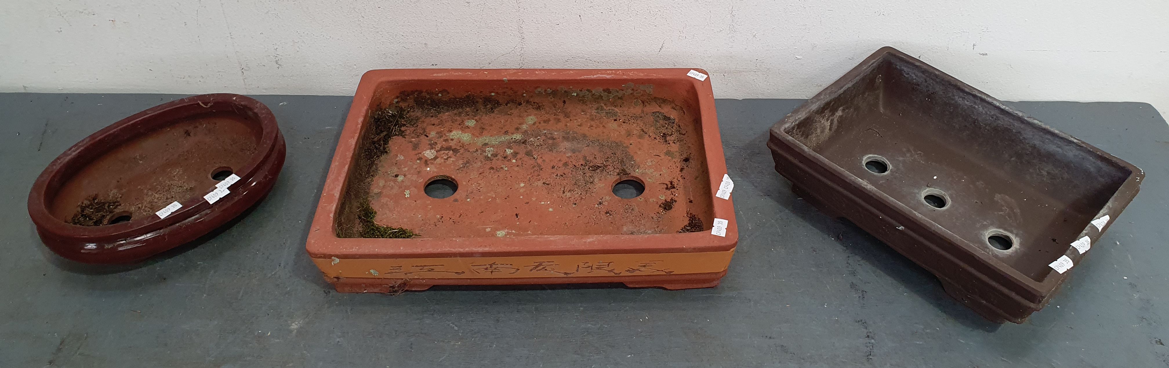 1101 · THREE VARIOUS BONSAI POTS