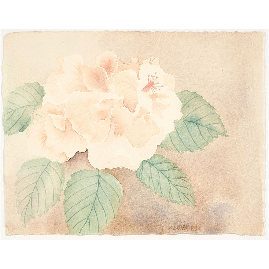 Watercolor, Ruth Asawa