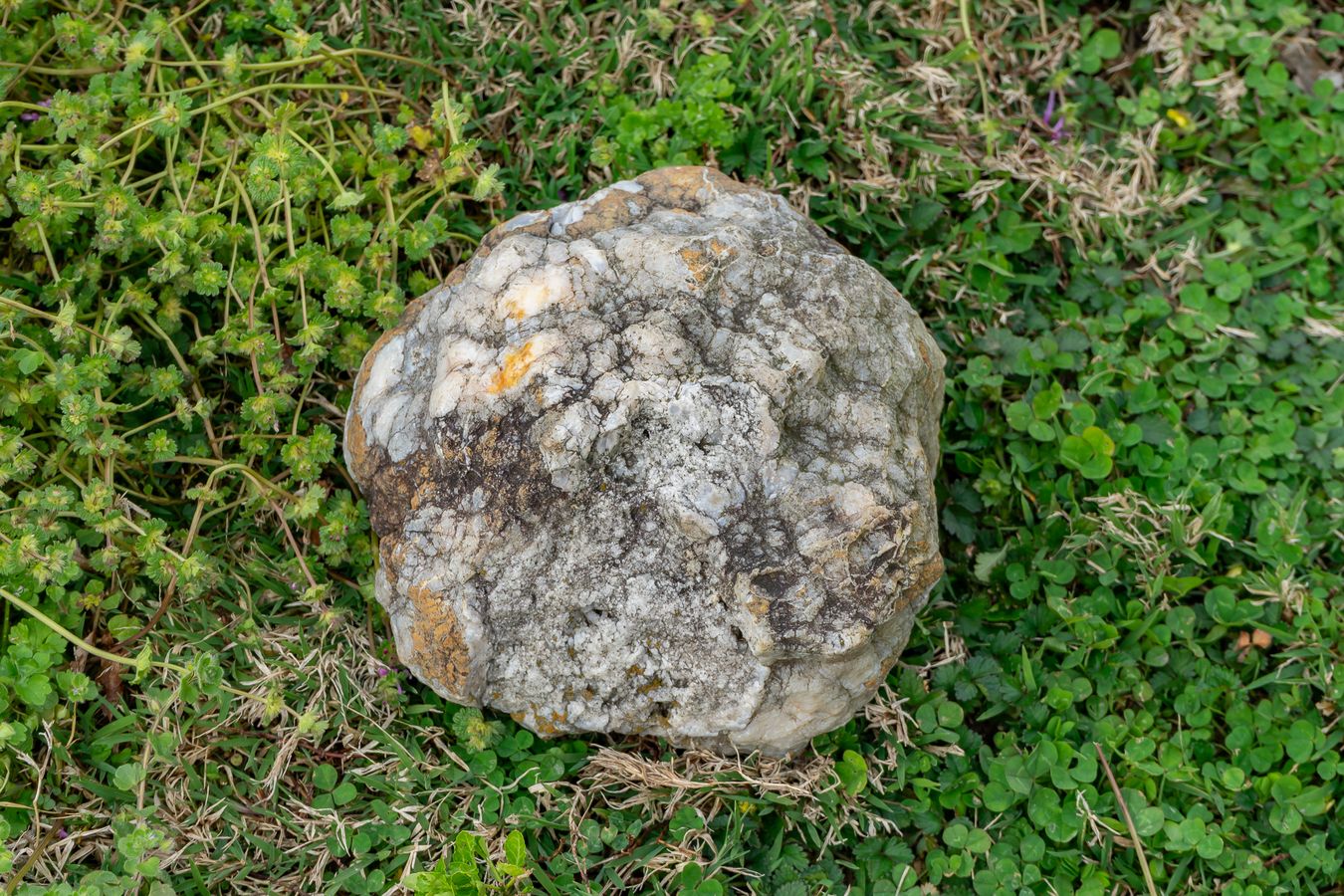 Large Geode Rock | Harritt Group, Inc