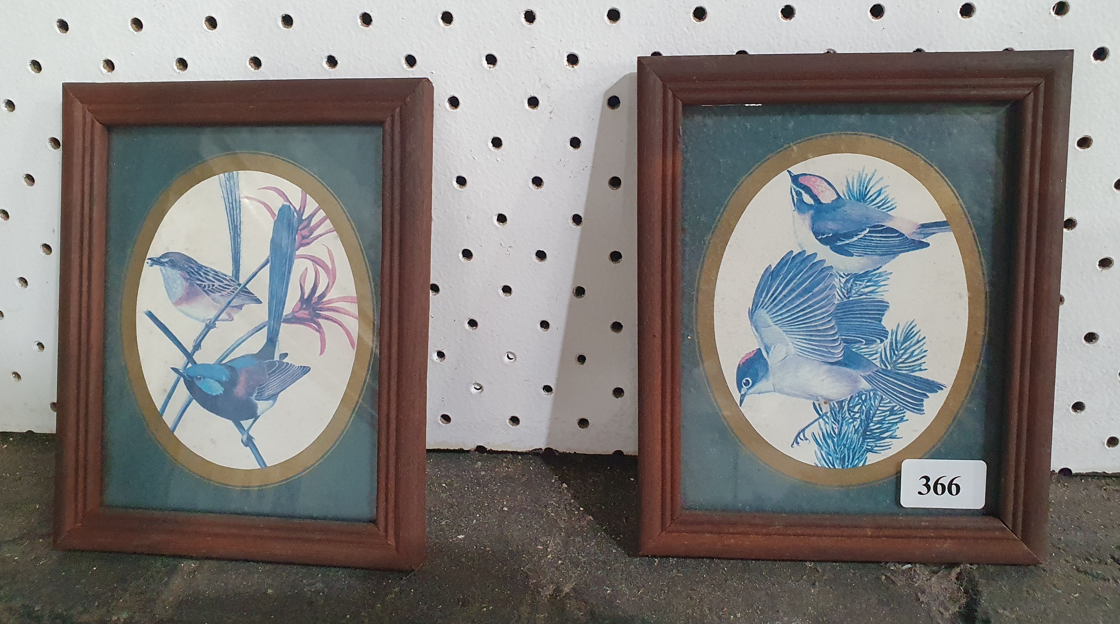 A Pair Of Framed Bird Prints
