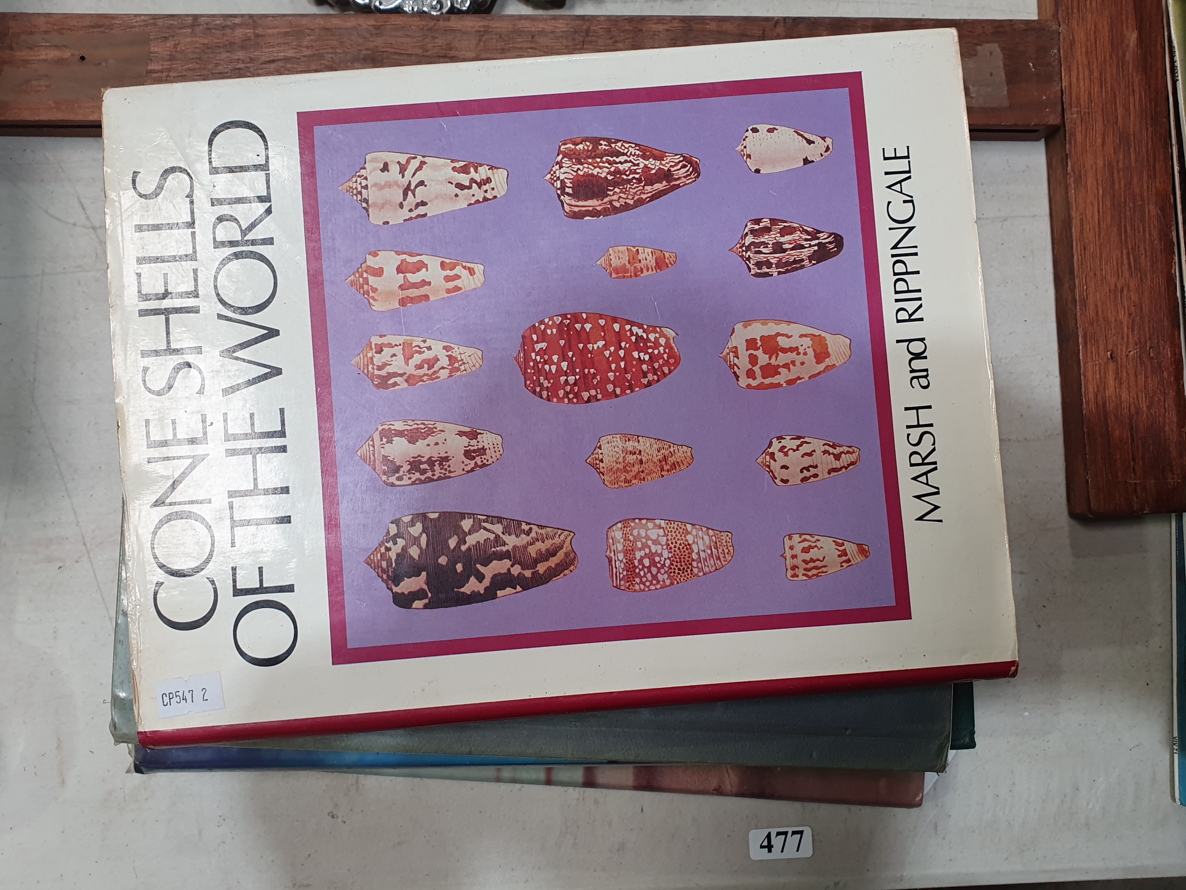 477 · A GROUP OF FIVE SEA SHELL RELATED BOOKS