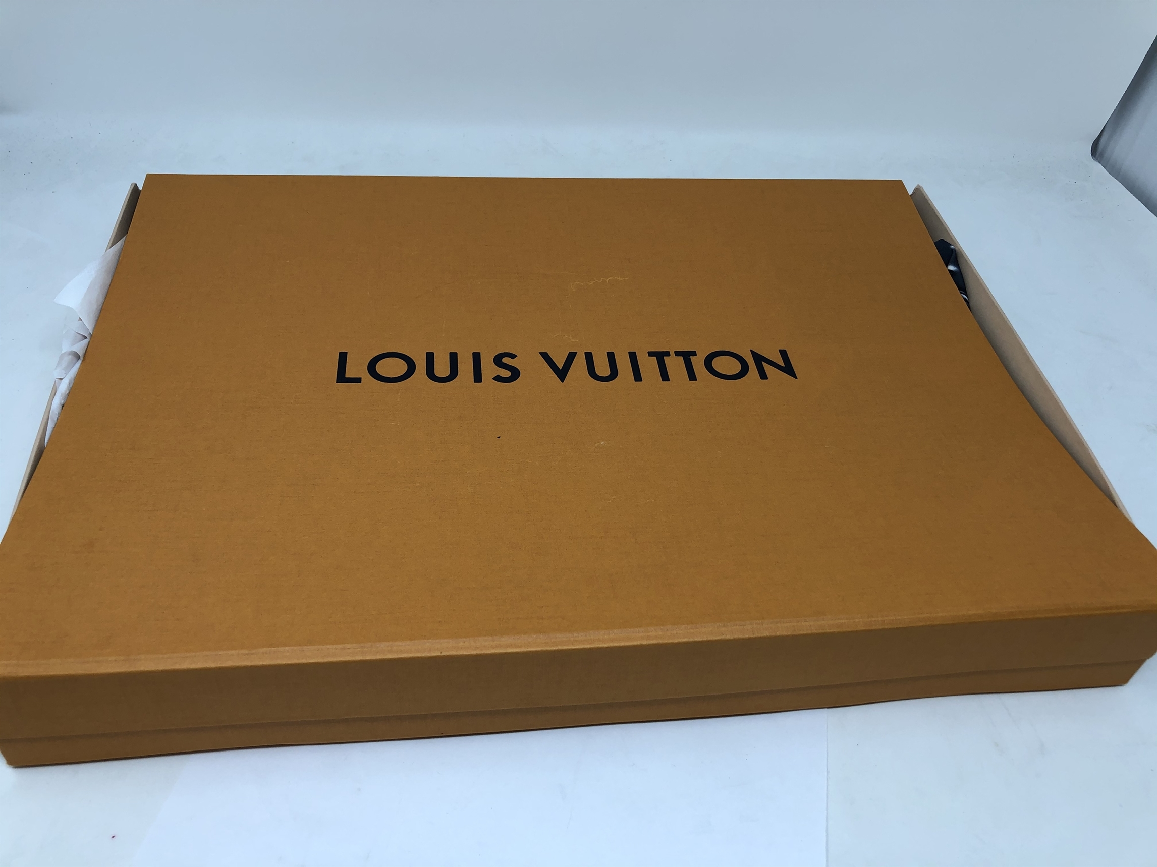 Louis Vuitton Leggings (Dayton, NJ)