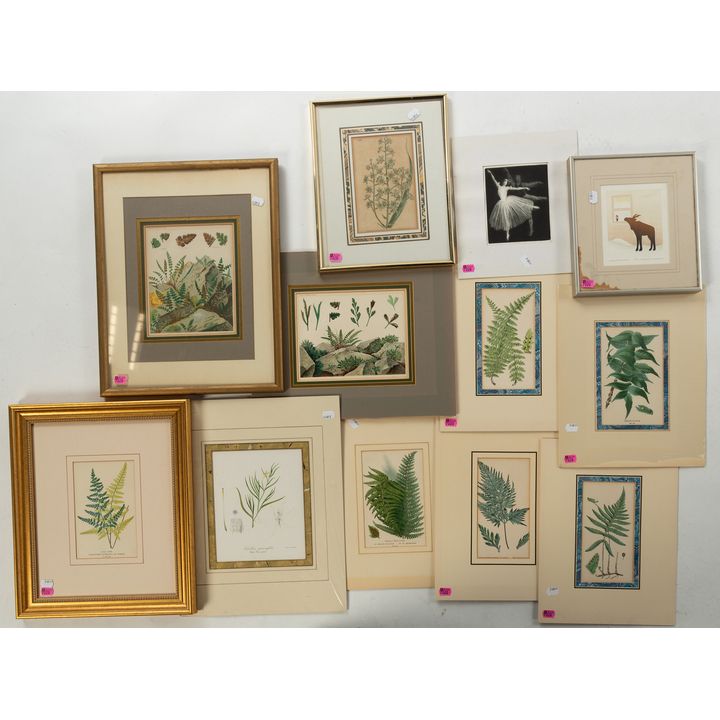 Group of Ten Assorted Botanical Prints