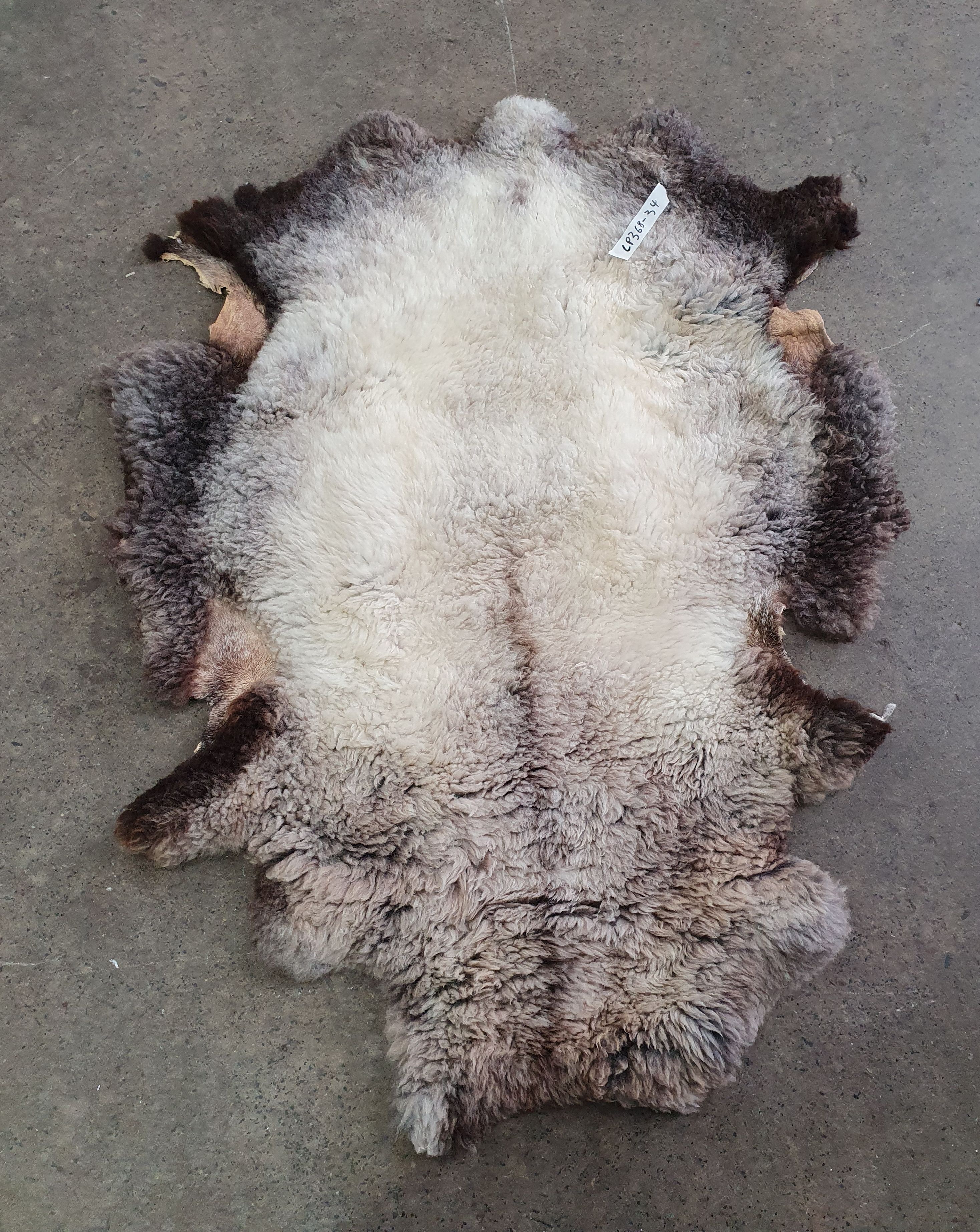 A Sheep Skin Rug