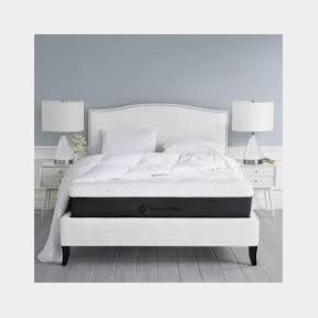 Member's Mark Hotel Premier Collection 12" Queen Mattress E19