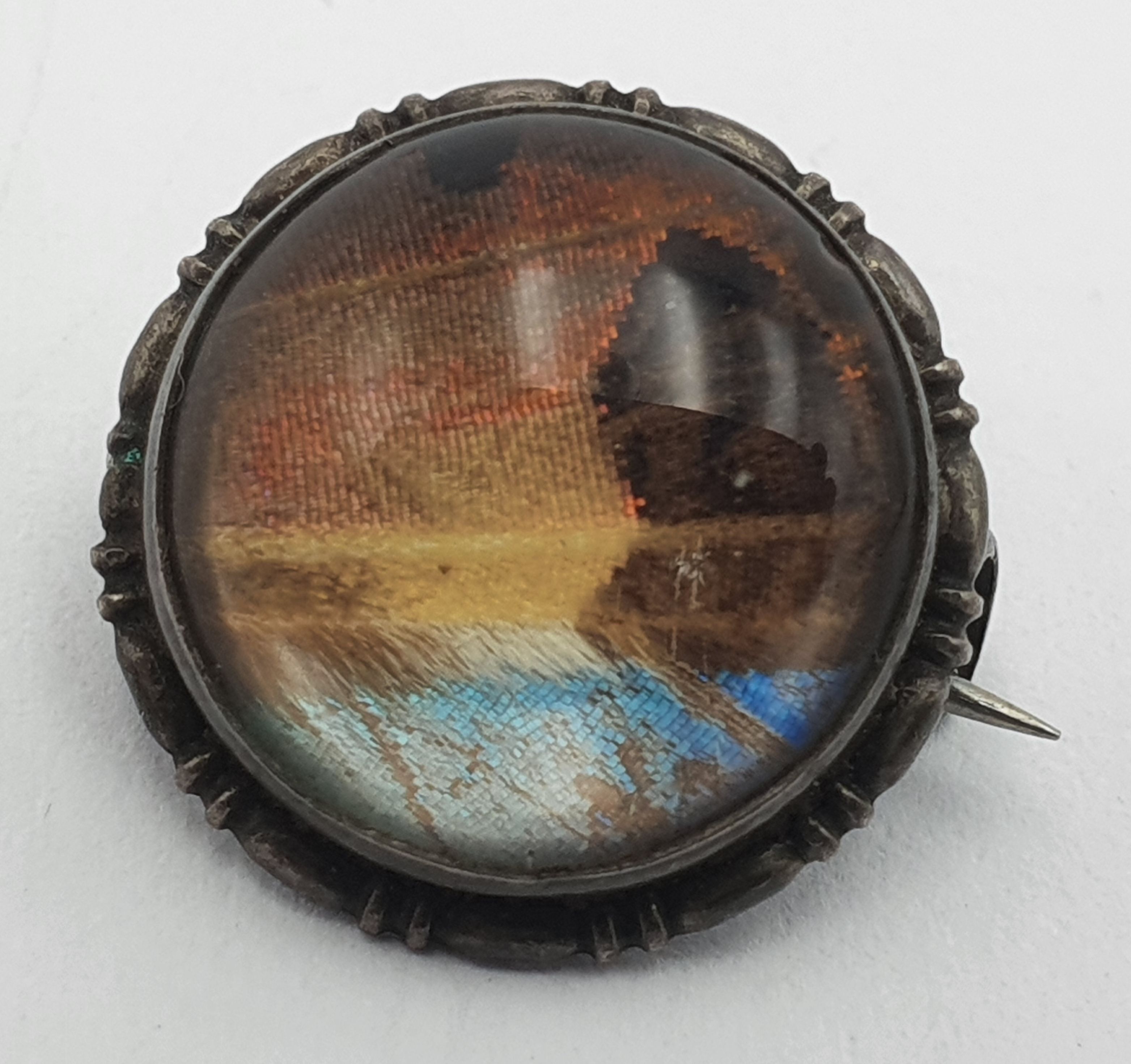 226 · A VINTAGE STERLING SILVER AND BUTTERFLY WING BROOCH